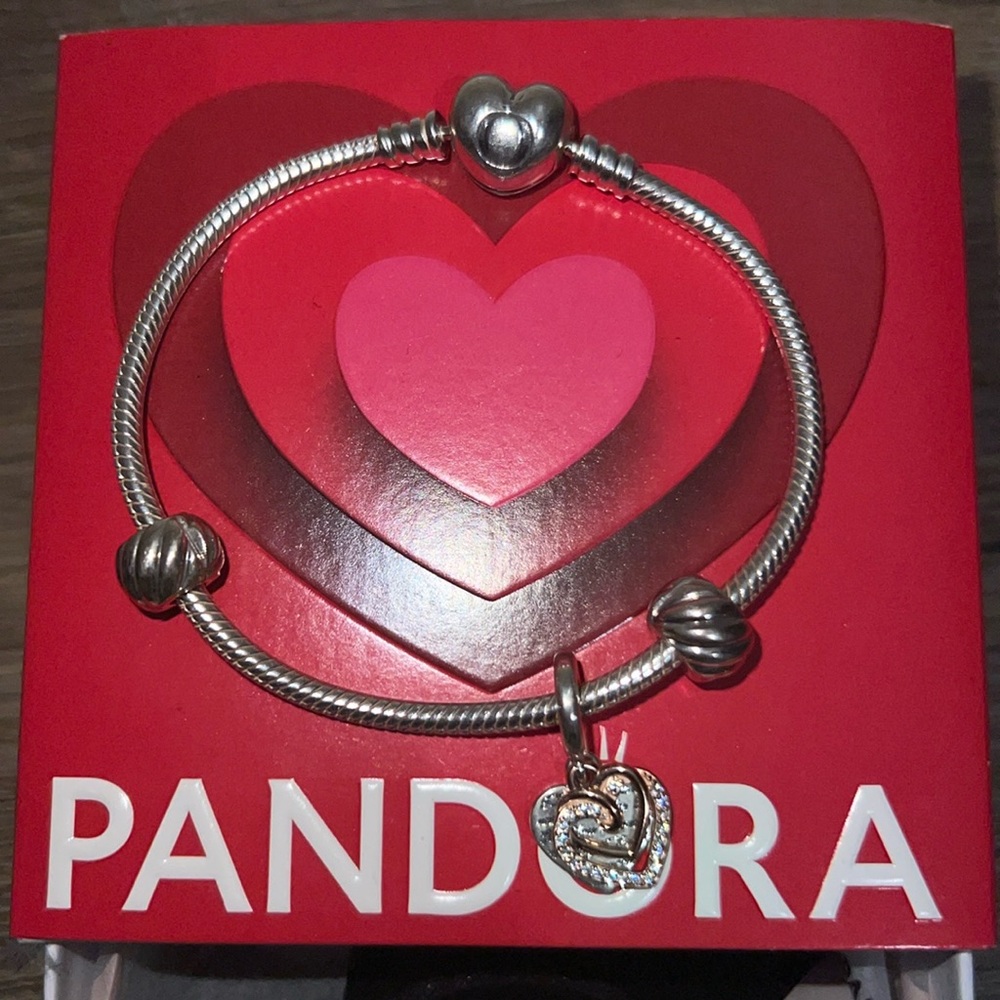 *NEVER USED Pandora Bracelet